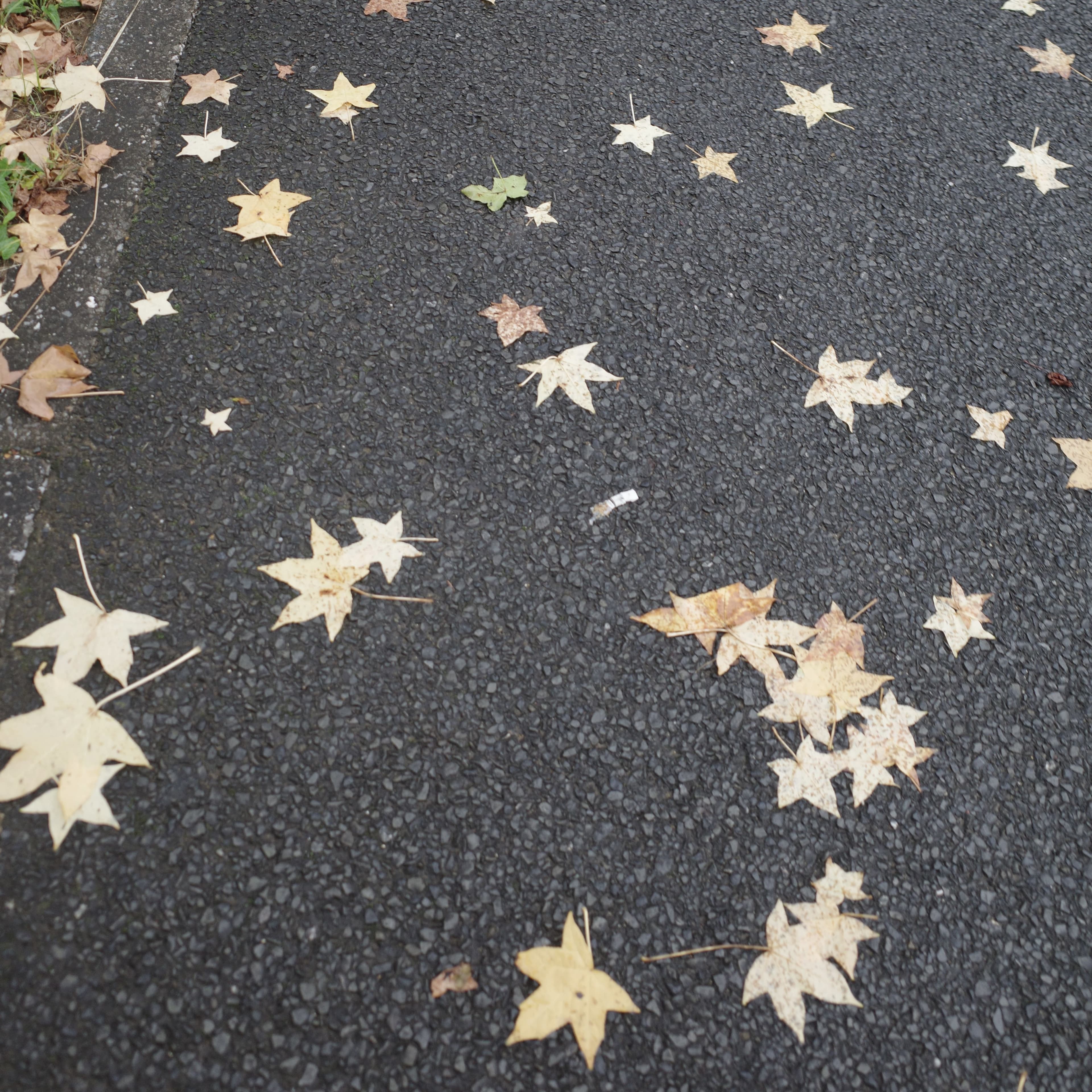 Photo 04