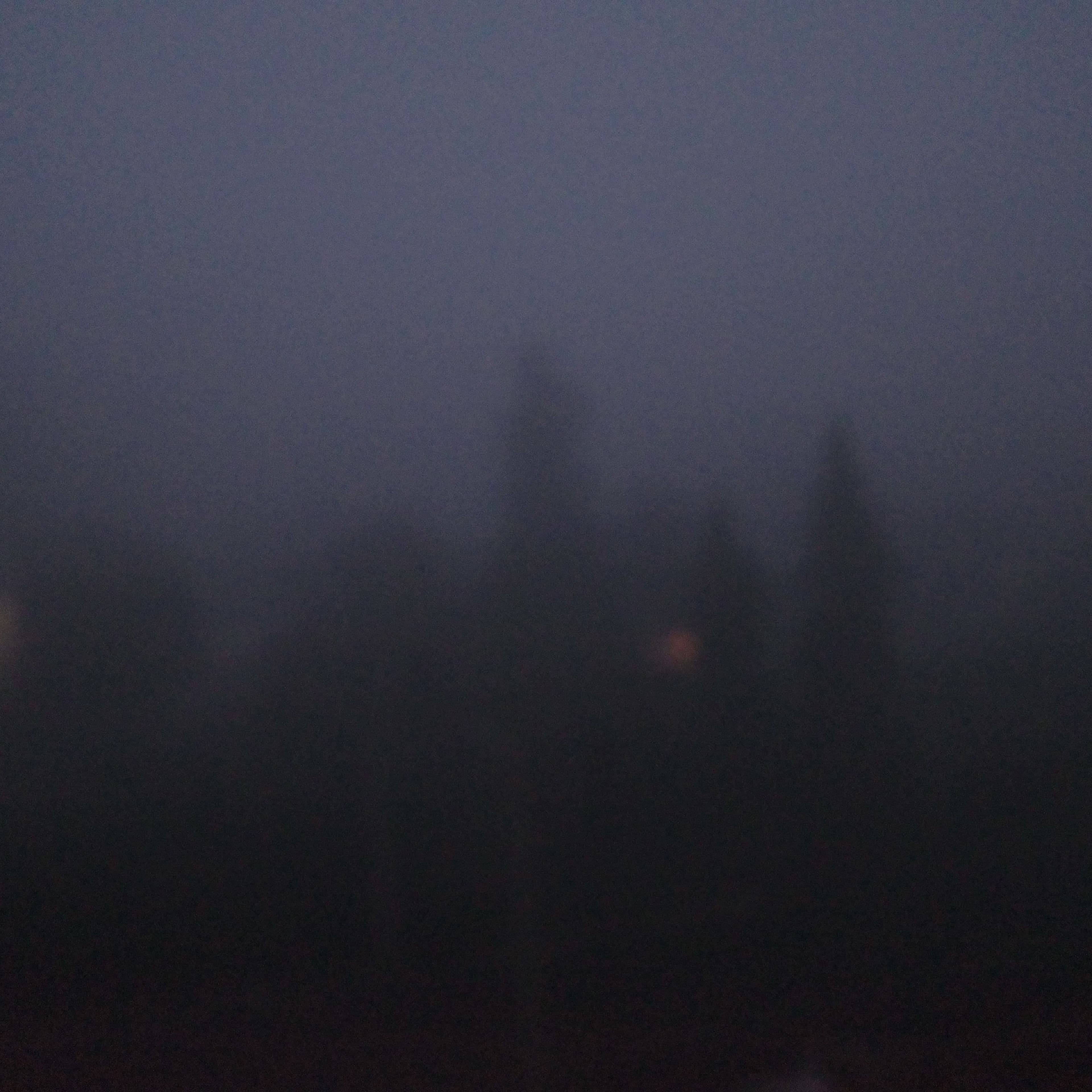 Photo 07